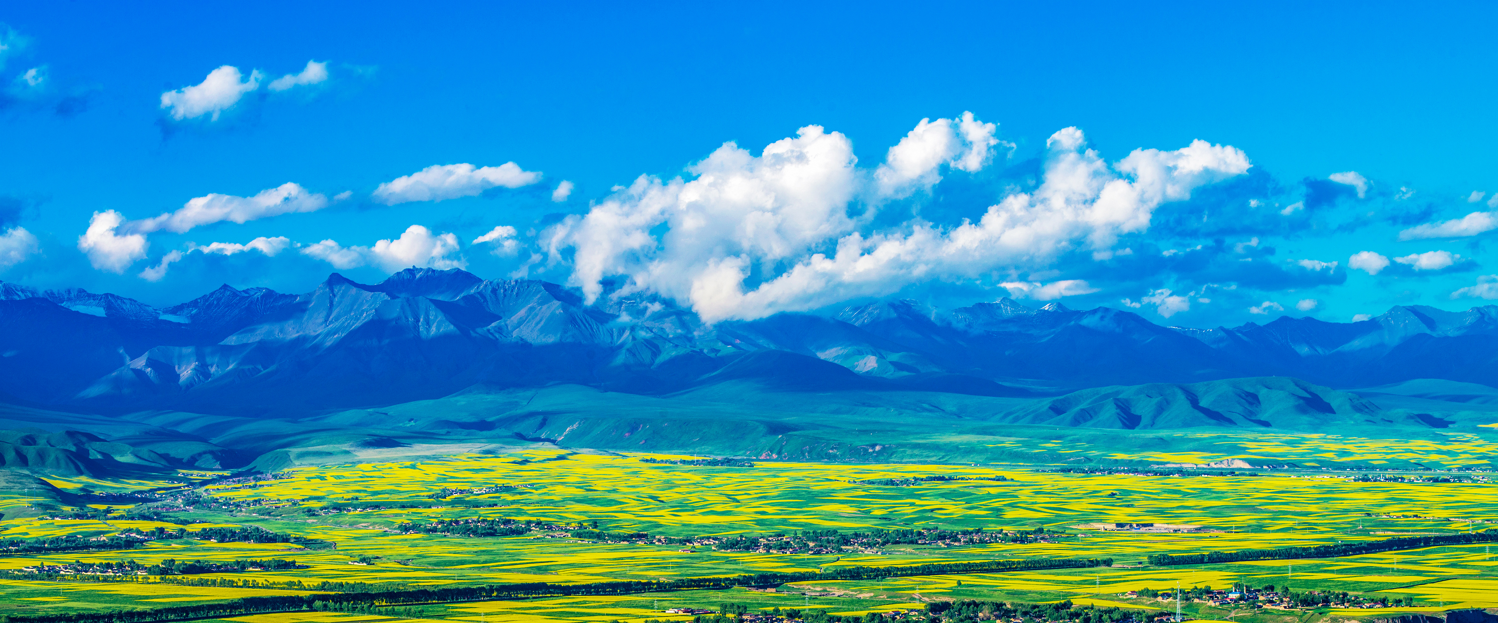 生态风景