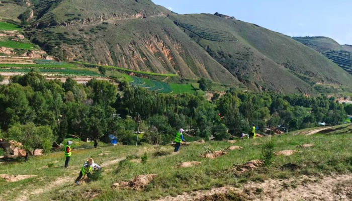 临洮生态修复项目开启“双线作战”模式